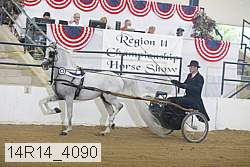 14r14_4090 thumbnail