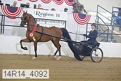 14r14_4092 thumbnail