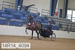 14r14_4094 thumbnail