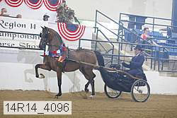 14r14_4096 thumbnail