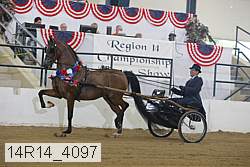 14r14_4097 thumbnail