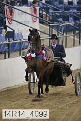 14r14_4099 thumbnail
