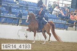 14r14_4193 thumbnail