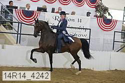 14r14_4242 thumbnail