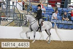 14r14_4483 thumbnail