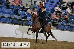 14r14_5662 thumbnail