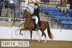 14r14_5825 thumbnail