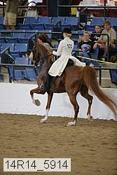 14r14_5914 thumbnail