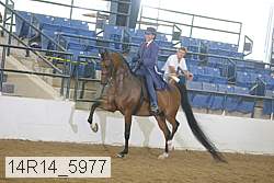 14r14_5977 thumbnail