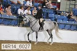 14r14_6027 thumbnail