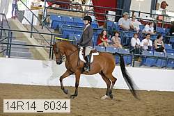 14r14_6034 thumbnail