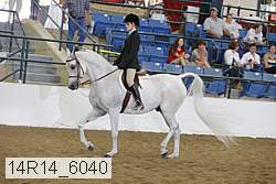 14r14_6040 thumbnail