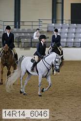 14r14_6046 thumbnail
