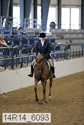 14r14_6093 thumbnail