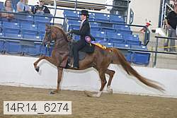 14r14_6274 thumbnail