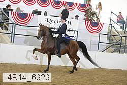 14r14_6323 thumbnail