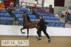 14r14_6473 thumbnail