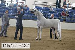 14r14_6487 thumbnail