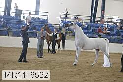 14r14_6522 thumbnail