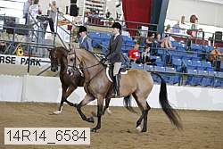 14r14_6584 thumbnail