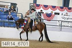 14r14_6701 thumbnail