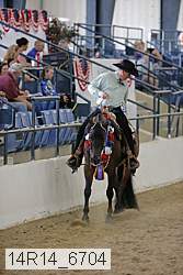 14r14_6704 thumbnail