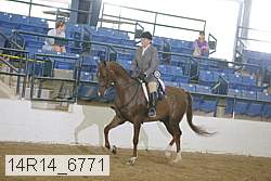 14r14_6771 thumbnail