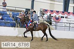 14r14_6786 thumbnail