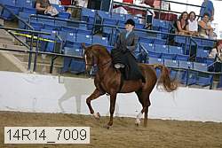 14r14_7009 thumbnail