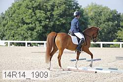 14r14_1909 thumbnail