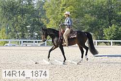 14r14_1874 thumbnail