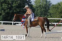 14r14_1891 thumbnail
