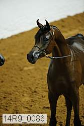 14r9_0086 thumbnail