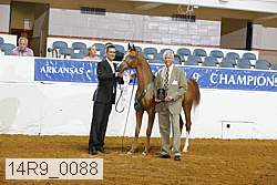 14r9_0088 thumbnail