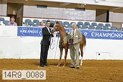 14r9_0089 thumbnail