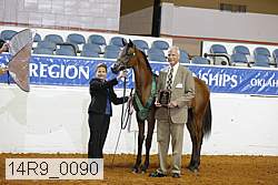 14r9_0090 thumbnail