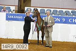 14r9_0092 thumbnail