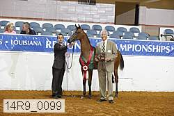 14r9_0099 thumbnail