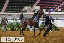 14r9_0103 thumbnail
