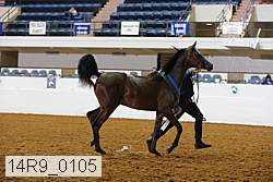 14r9_0105 thumbnail