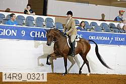 14r9_0321 thumbnail