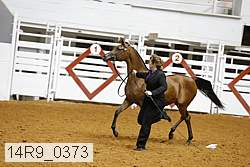 14r9_0373 thumbnail