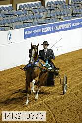 14r9_0575 thumbnail