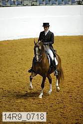 14r9_0718 thumbnail