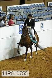14r9_0755 thumbnail