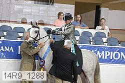14r9_1288 thumbnail