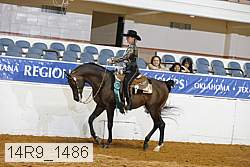 14r9_1486 thumbnail