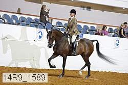 14r9_1589 thumbnail