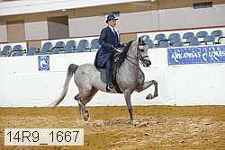 14r9_1667 thumbnail