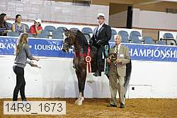 14r9_1673 thumbnail